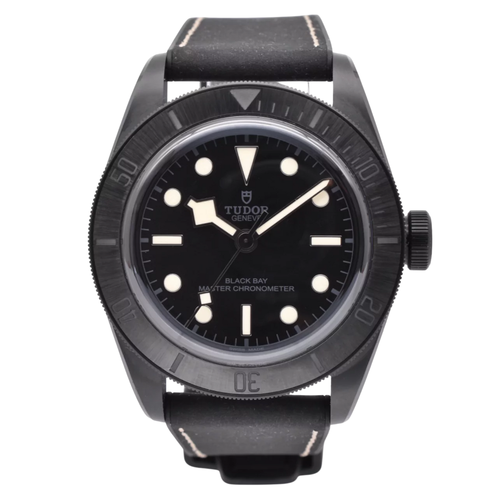Tudor Black Bay Brand New 2025 79210CNU 2025