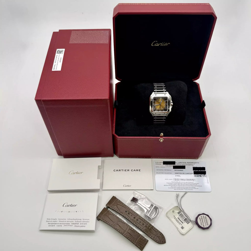 Cartier Santos Brown Fumé 2025 WSSA0065 2025