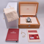 Omega Seamaster Diver 300M Master Co-Axial 42mm Stainless Steel Model no. 210.30.42.20.04.001