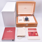 Omega Seamaster 300 Master Chronometer Stainless Steel Blue Dial 234.30.41.21.03.001 2021