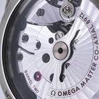 Omega Seamaster 300 Master Chronometer Stainless Steel Blue Dial 234.30.41.21.03.001 2021