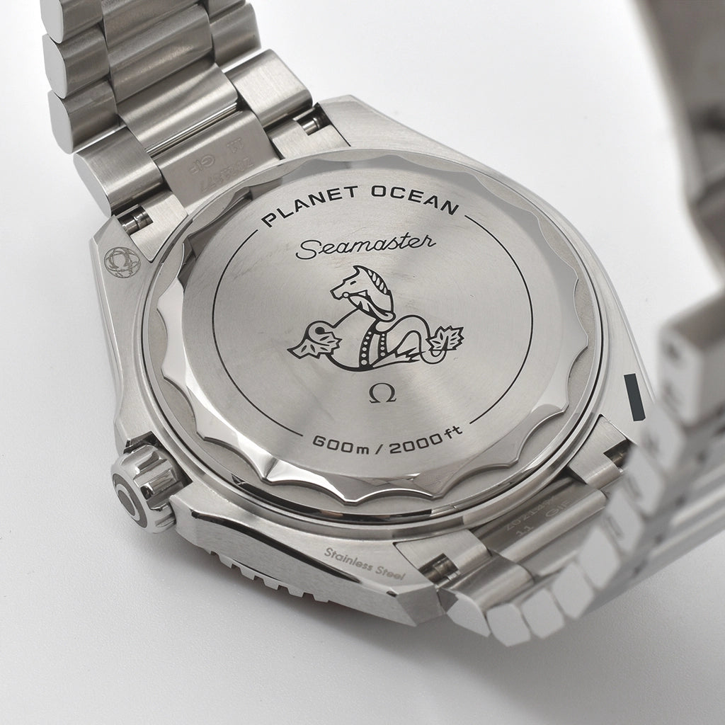 Omega Seamaster Planet Ocean 600M Co-Axial 42 Stainless Steel - 217.30.42.21.01.003 – Pre-owned Watch | Wiseman's Watches