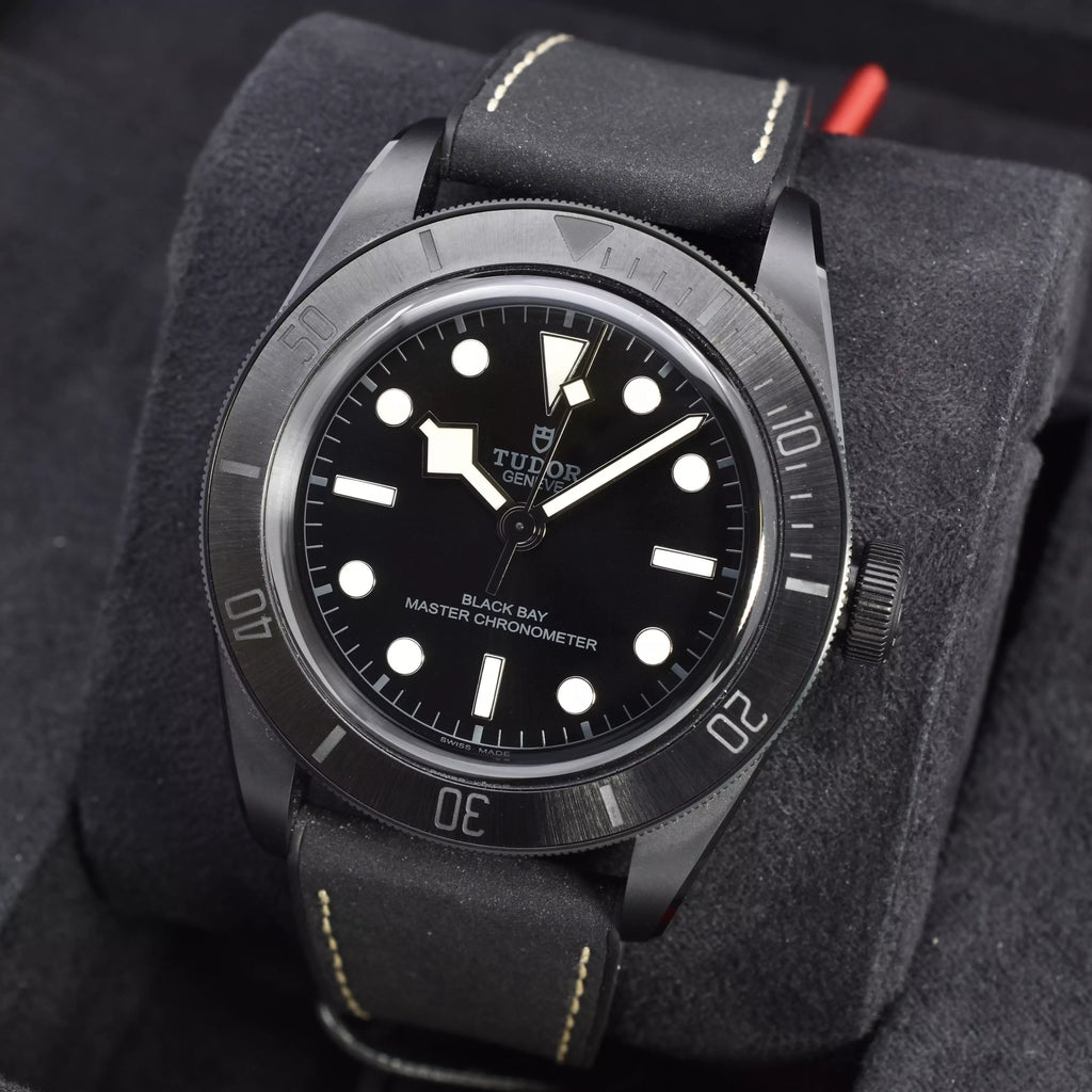 Tudor Black Bay Ceramic 2022 79210CNU 2022