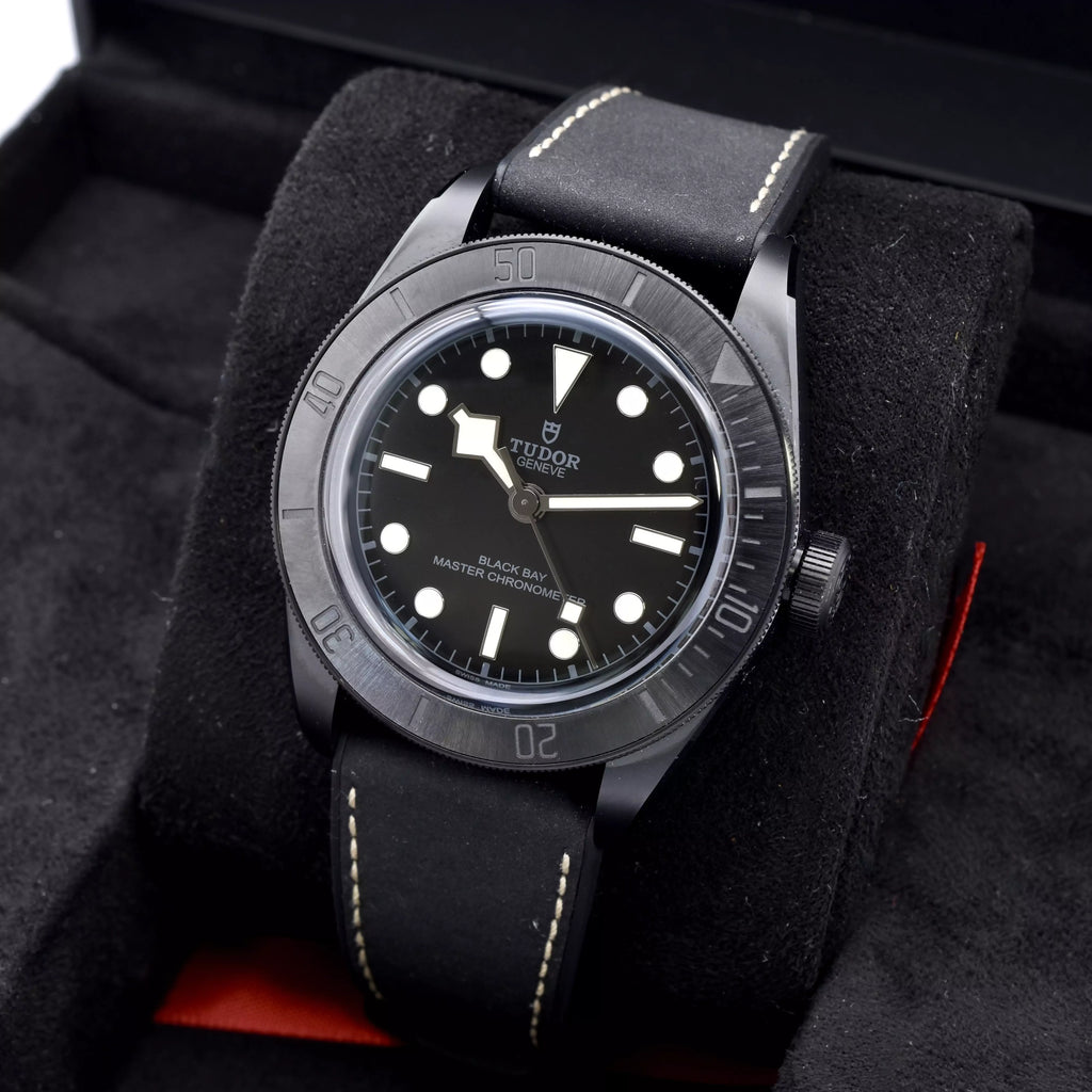 Tudor Black Bay Brand New 2025 79210CNU 2025