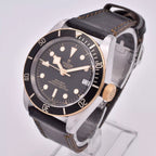 Tudor Black Bay S&G 41mm 79733N 2019