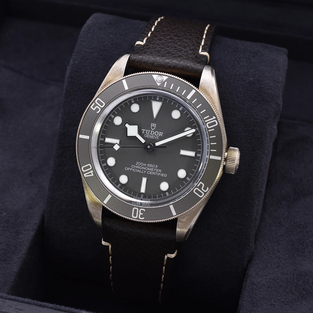 Tudor Black Bay 925 Silver Full Set 79010SG 2021