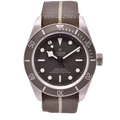 Tudor Black Bay 925 Silver Full Set 79010SG 2021