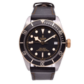 Tudor Black Bay S&G 41mm 79733N 2019