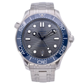 OMEGA Seamaster 300m Co-Axial 210.30.42.20.06.001 2018